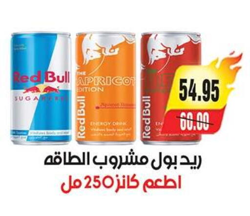 Apricot available at آي ماركت in Egypt - القاهرة