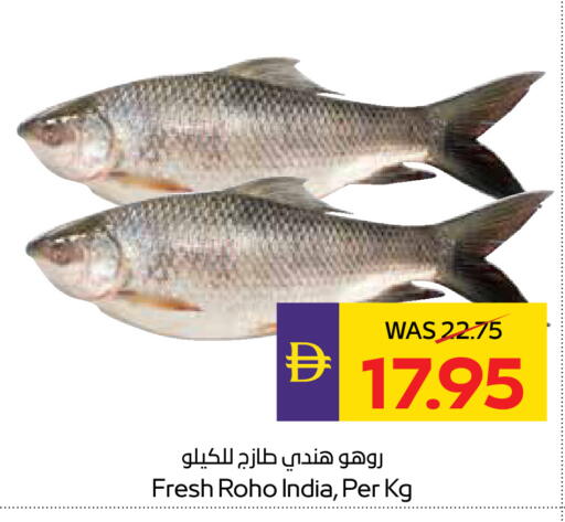 available at ADCOOP in UAE - Abu Dhabi