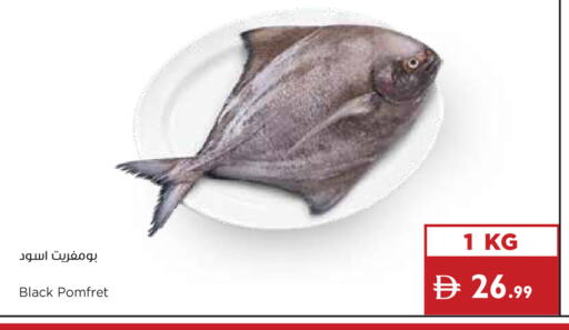 available at إسطنبول سوبرماركت in الإمارات العربية المتحدة , الامارات - الشارقة / عجمان