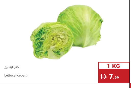 Lettuce available at إسطنبول سوبرماركت in الإمارات العربية المتحدة , الامارات - الشارقة / عجمان