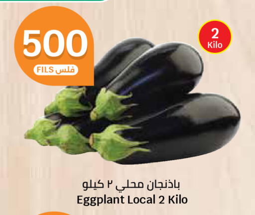Eggplant available at City Hypermarket in Kuwait - Kuwait City
