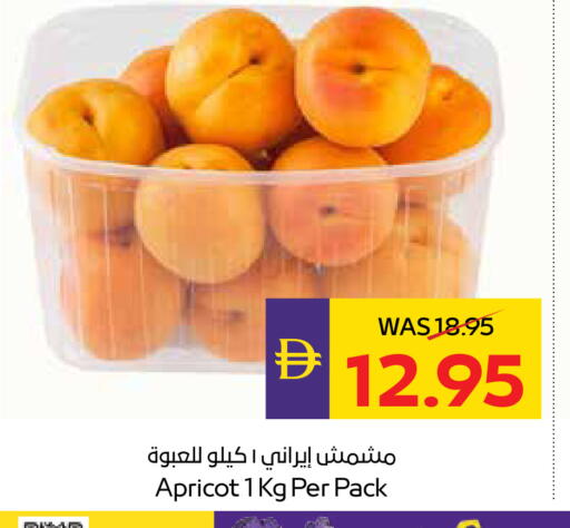 Apricot available at ADCOOP in UAE - Abu Dhabi