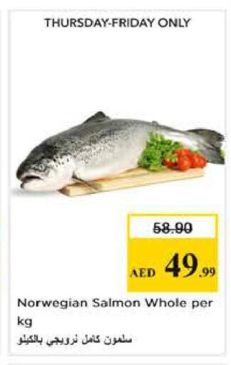 available at Nesto Hypermarket in UAE - Abu Dhabi