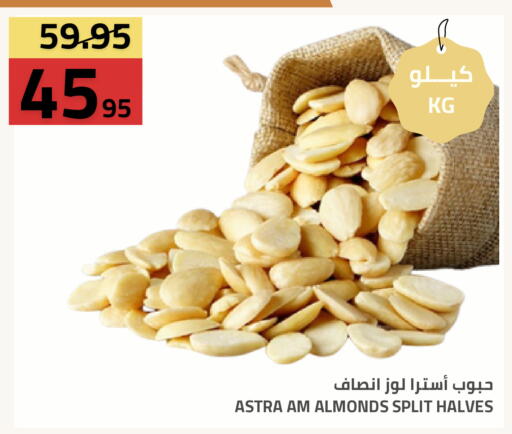 available at Astra Markets in KSA, Saudi Arabia, Saudi - Tabuk
