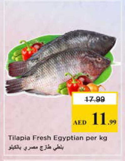 available at نستو هايبرماركت in الإمارات العربية المتحدة , الامارات - الشارقة / عجمان