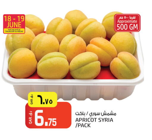 Apricot from Syria available at Saudia Hypermarket in Qatar - Al Daayen