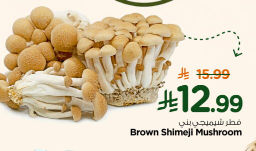 Mushroom available at Nesto in KSA, Saudi Arabia, Saudi - Al Khobar