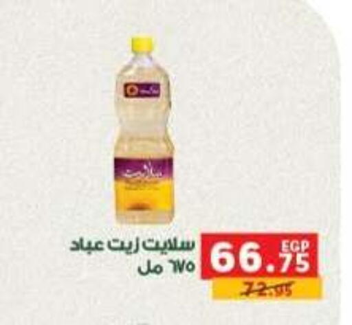 available at بنده in Egypt - القاهرة