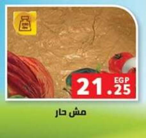 available at بنده in Egypt - القاهرة