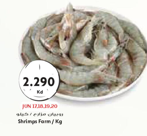 available at جراند كوستو in الكويت - مدينة الكويت