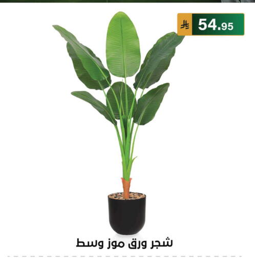 available at الحسين توب أب in مملكة العربية السعودية, السعودية, سعودية - الرياض