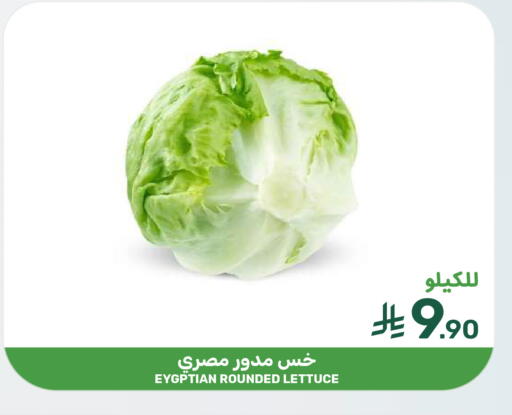 Lettuce available at Mazaya in KSA, Saudi Arabia, Saudi - Dammam
