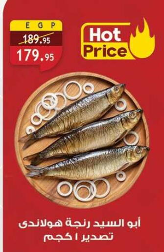 available at Al Rayah Market   in Egypt - Cairo