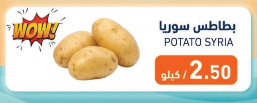 Potato from Syria available at Aswaq Ramez in Qatar - Al Daayen