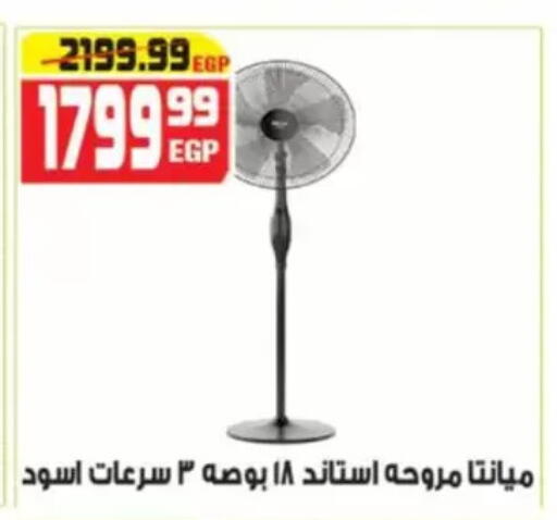 available at Hyper Mousa in Egypt - Cairo