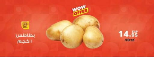 available at بنده in Egypt - القاهرة