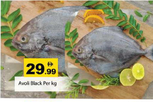 available at Gulf Hypermarket LLC in UAE - Ras al Khaimah