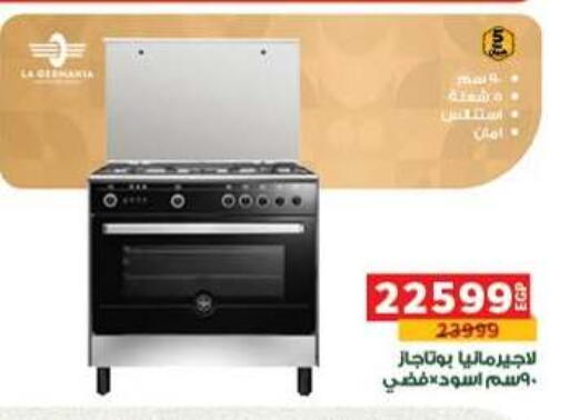 available at Panda  in Egypt - Cairo
