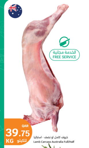 available at سيتي هايبرماركت in قطر - الضعاين