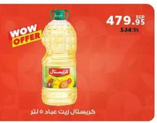 available at بنده in Egypt - القاهرة