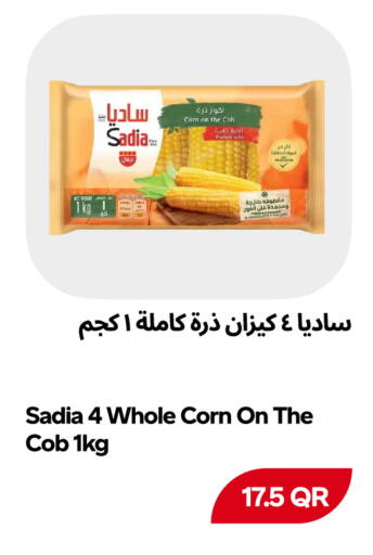 available at Snoomart in Qatar - Al Rayyan