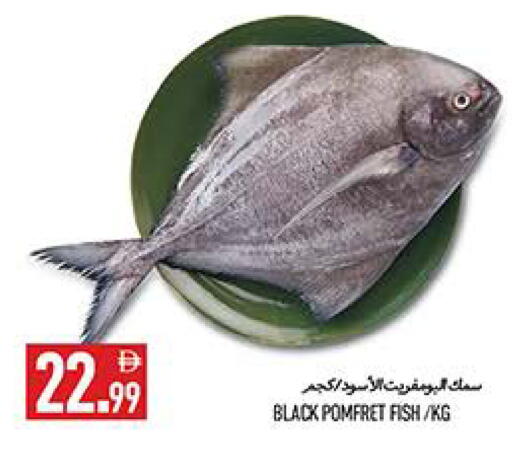 available at  روابي ماركت عجمان in الإمارات العربية المتحدة , الامارات - الشارقة / عجمان