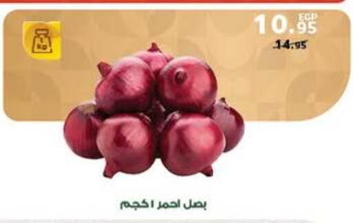 available at بنده in Egypt - القاهرة
