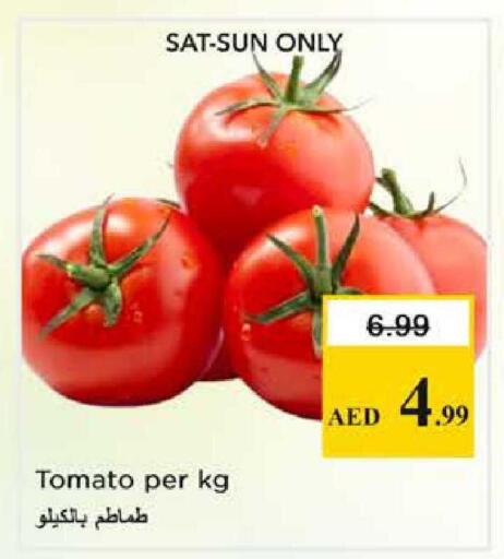 Tomato available at Nesto Hypermarket in UAE - Sharjah / Ajman