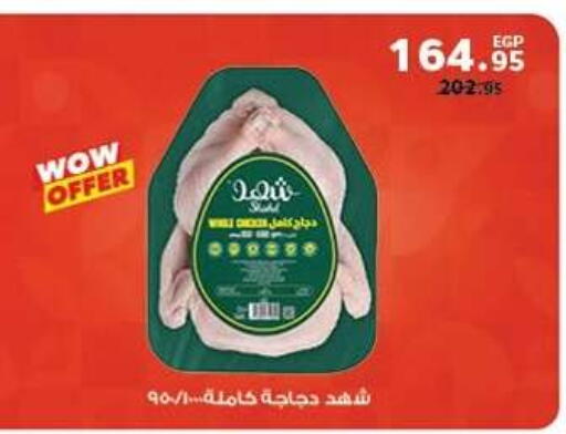 available at بنده in Egypt - القاهرة
