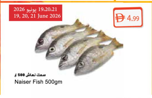available at Almaya Supermarkets in UAE - Dubai