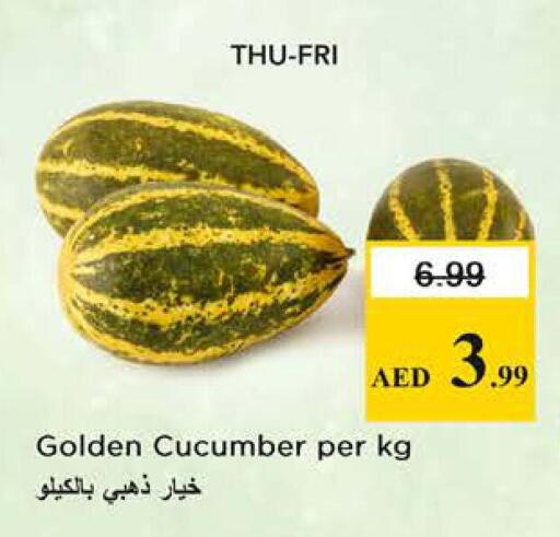 Cucumber available at نستو هايبرماركت in الإمارات العربية المتحدة , الامارات - الشارقة / عجمان