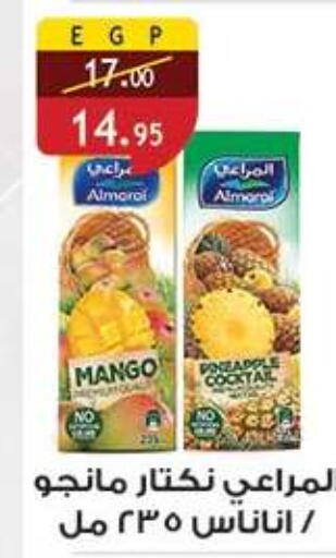 Mango available at Al Rayah Market   in Egypt - Cairo