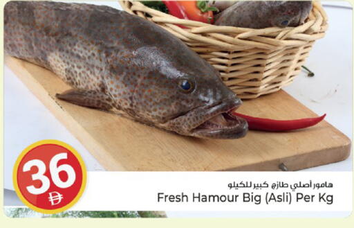 available at Kenz Hypermarket in UAE - Sharjah / Ajman