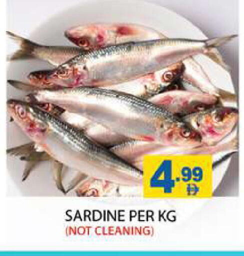 available at Zain Mart Supermarket in UAE - Ras al Khaimah