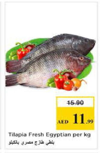 available at Nesto Hypermarket in UAE - Abu Dhabi