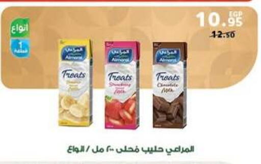 available at Panda  in Egypt - Cairo