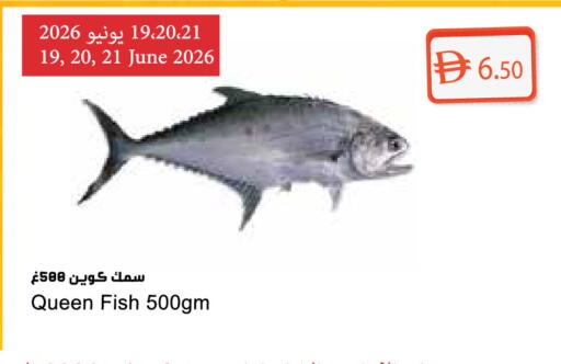 available at Almaya Supermarkets in UAE - Dubai