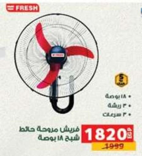 available at بنده in Egypt - القاهرة