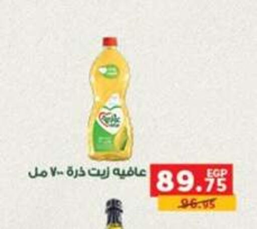 available at بنده in Egypt - القاهرة