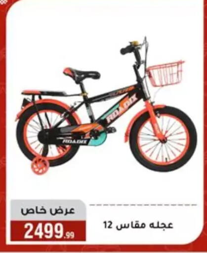 available at Al Morshedy  in Egypt - Cairo