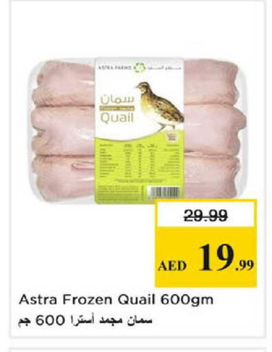 available at نستو هايبرماركت in الإمارات العربية المتحدة , الامارات - دبي