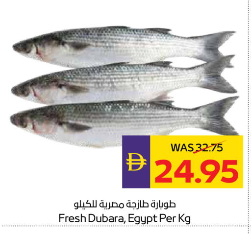 available at ADCOOP in UAE - Abu Dhabi