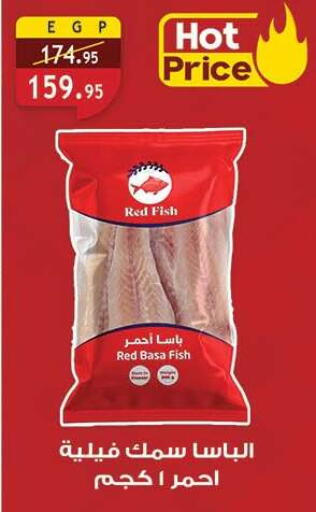 available at Al Rayah Market   in Egypt - Cairo