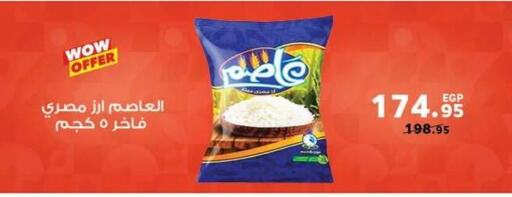 available at Panda  in Egypt - Cairo