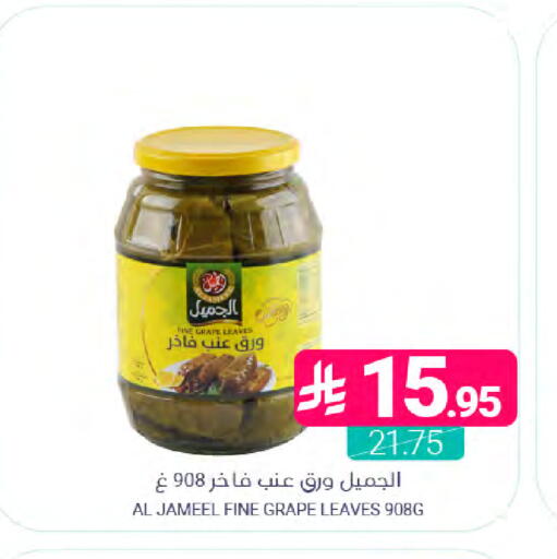 available at Muntazah Markets in KSA, Saudi Arabia, Saudi - Dammam