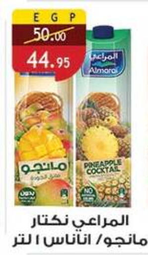 Pineapple available at Al Rayah Market   in Egypt - Cairo