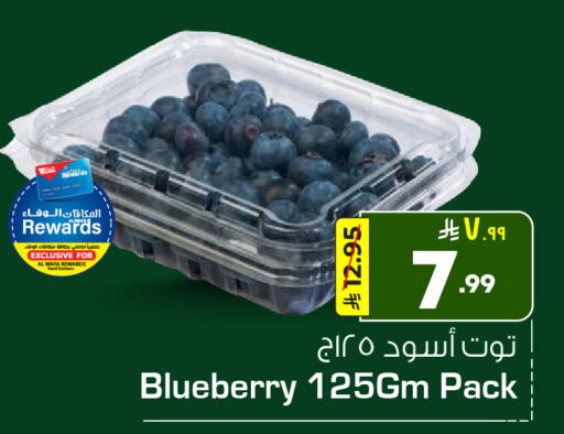 Blueberry BlueBerry available at هايبر الوفاء in مملكة العربية السعودية, السعودية, سعودية - جدة