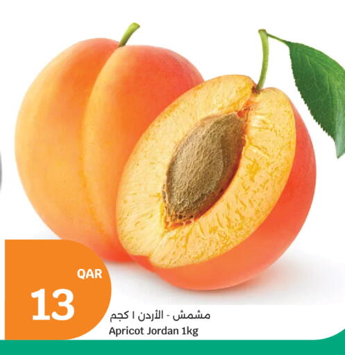 Apricot from Jordan available at City Hypermarket in Qatar - Al Shamal