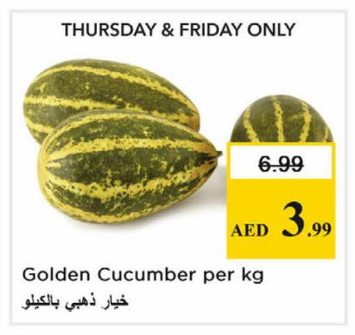 Cucumber available at نستو هايبرماركت in الإمارات العربية المتحدة , الامارات - الشارقة / عجمان