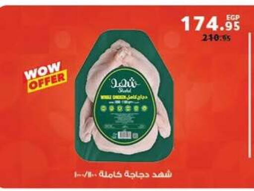 available at بنده in Egypt - القاهرة